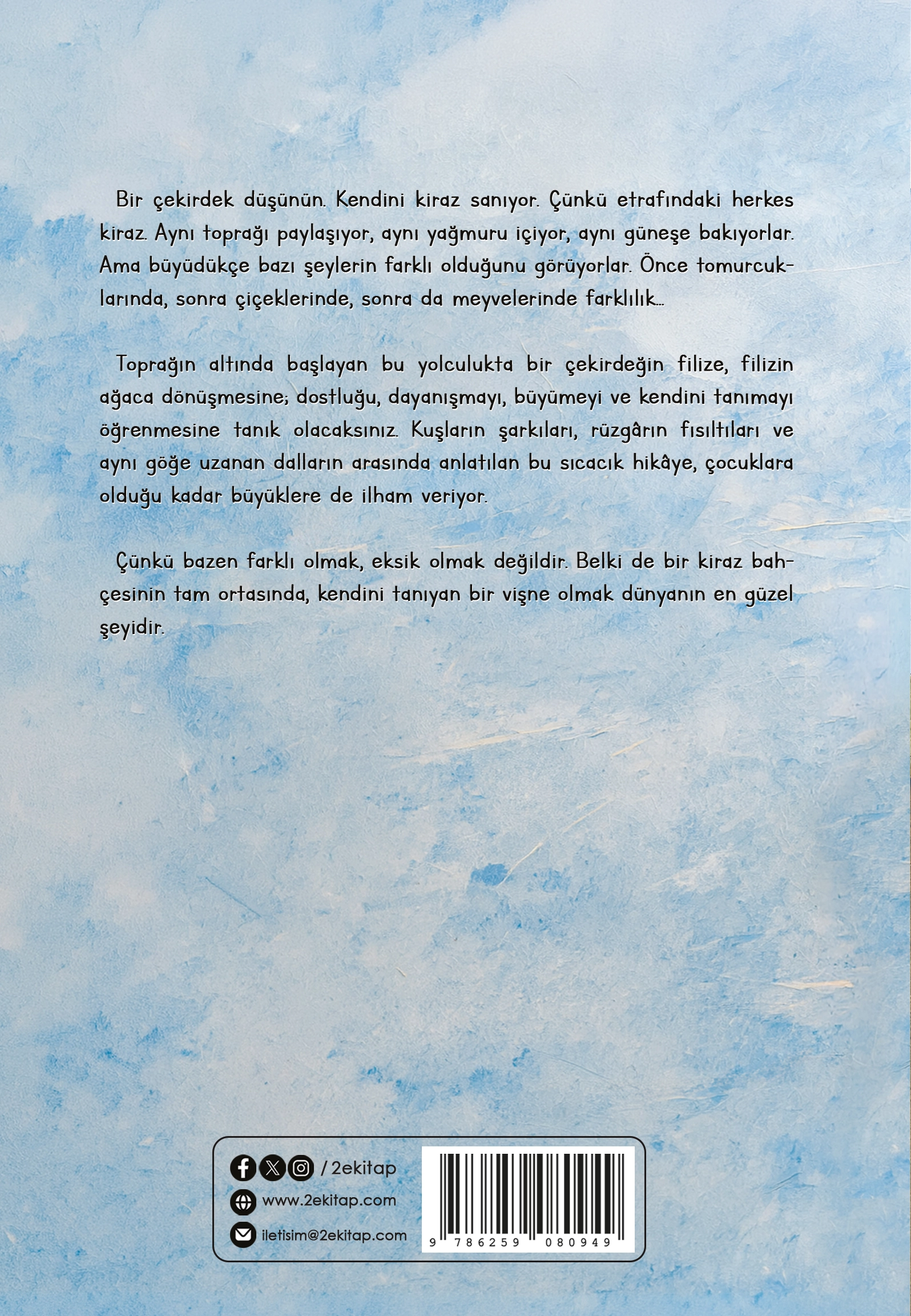 KUTUDAKİ ÇEKİRDEK