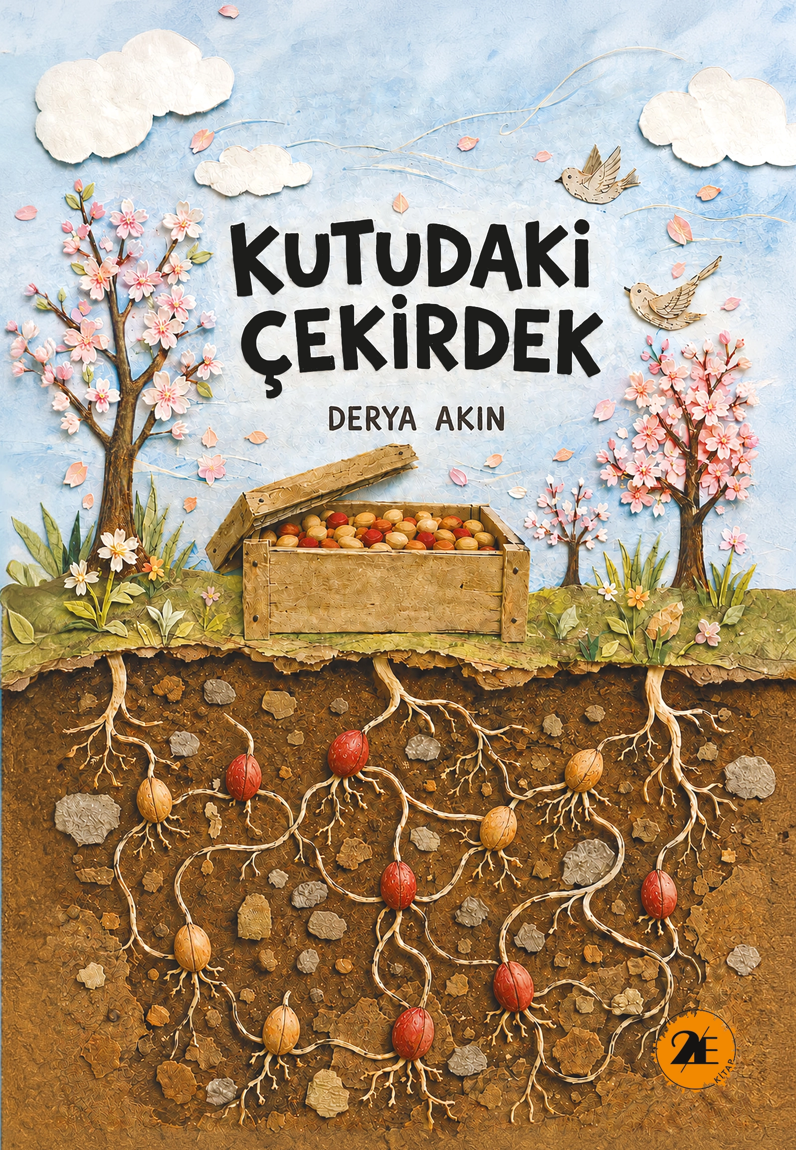 KUTUDAKİ ÇEKİRDEK